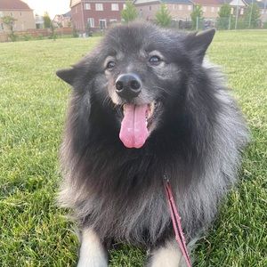 Meet your Posher, Mindy